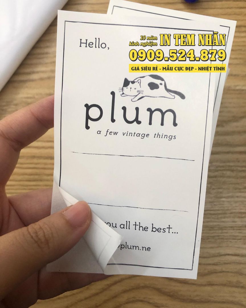 Mau Tem Nhan Hello Plum 1